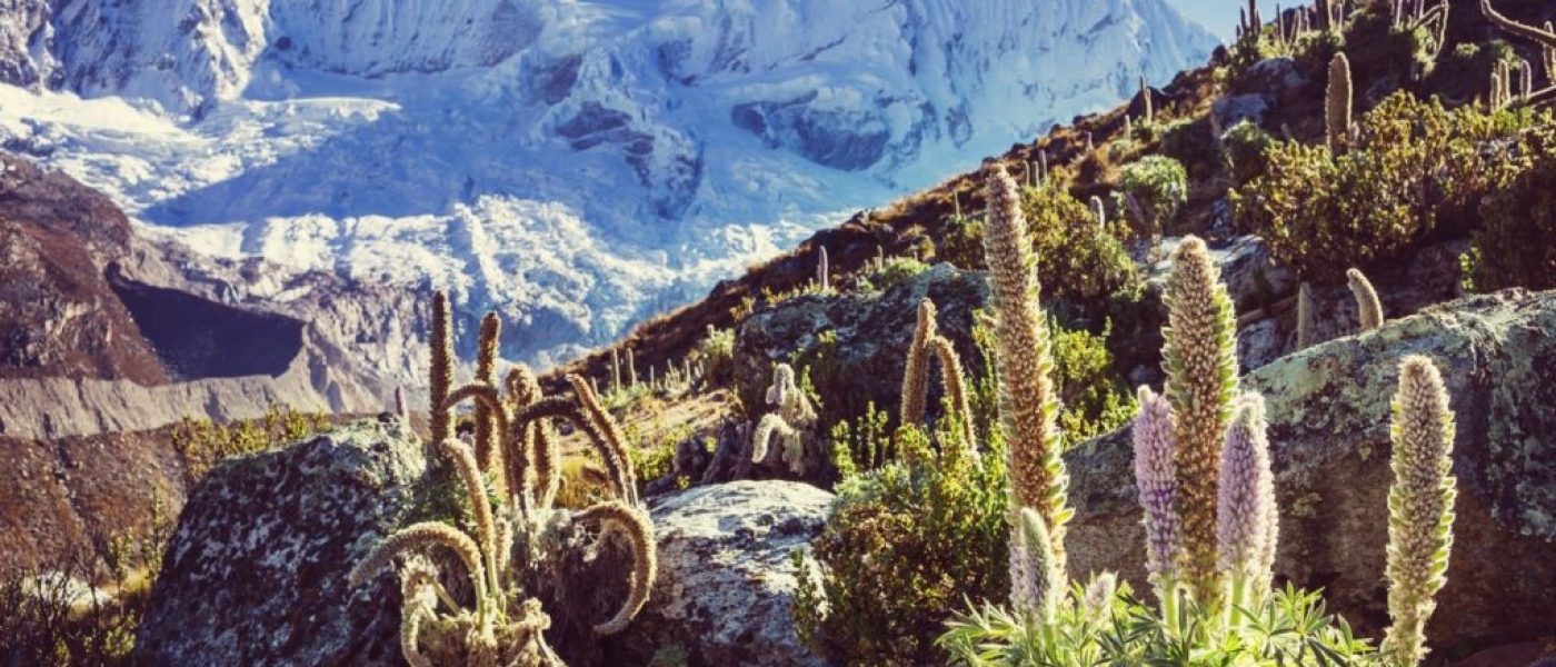 Huayhuash4-1024x682
